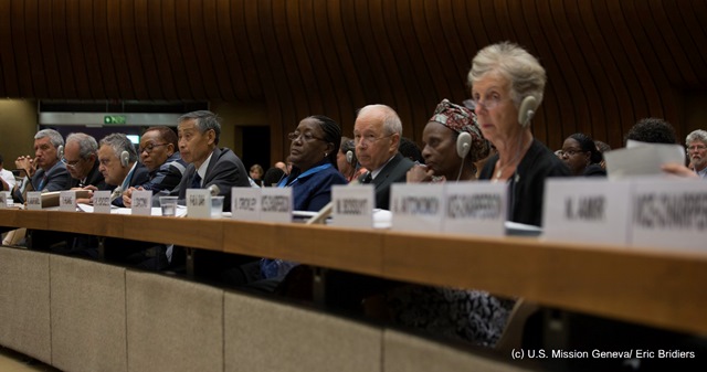 CERD_USA_2014