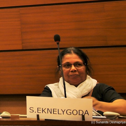 HRC33_S Eknelygoda